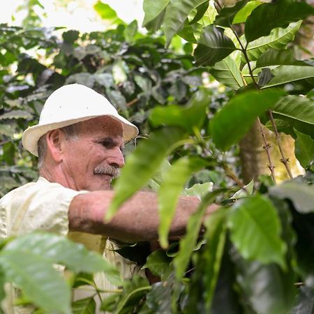 Batsu Ecolodge & Coffee Farm San Ramón Εξωτερικό φωτογραφία
