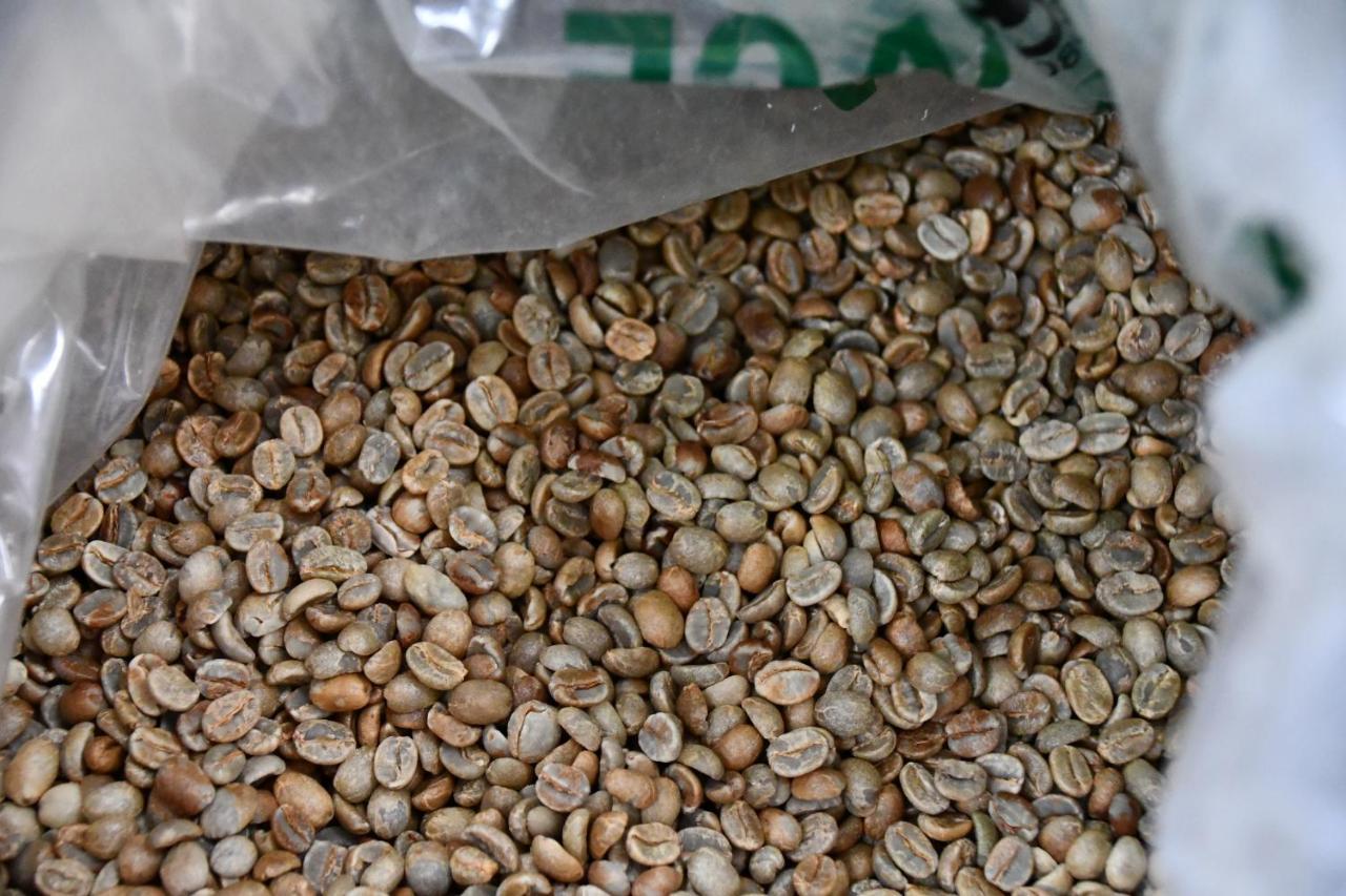 Batsu Ecolodge & Coffee Farm San Ramón Εξωτερικό φωτογραφία