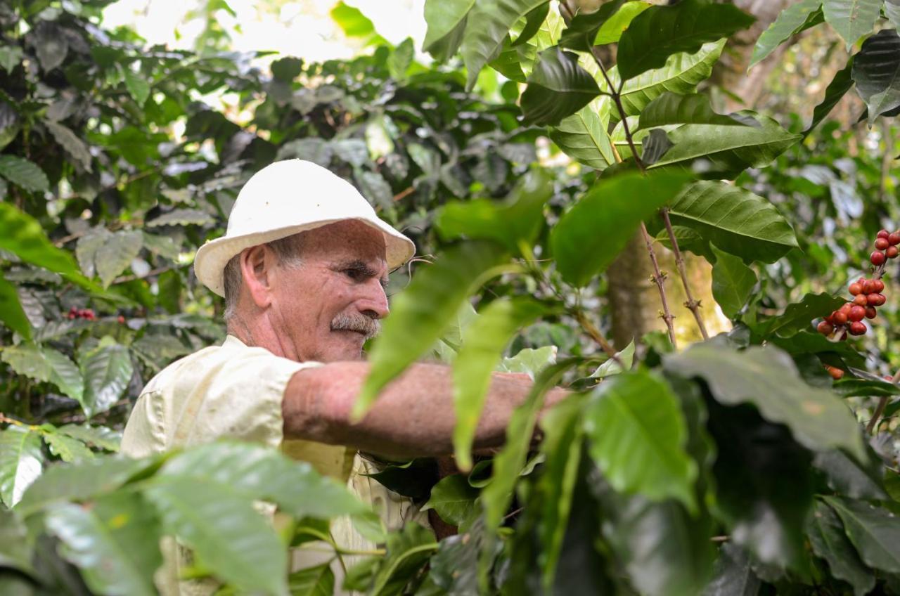 Batsu Ecolodge & Coffee Farm San Ramón Εξωτερικό φωτογραφία