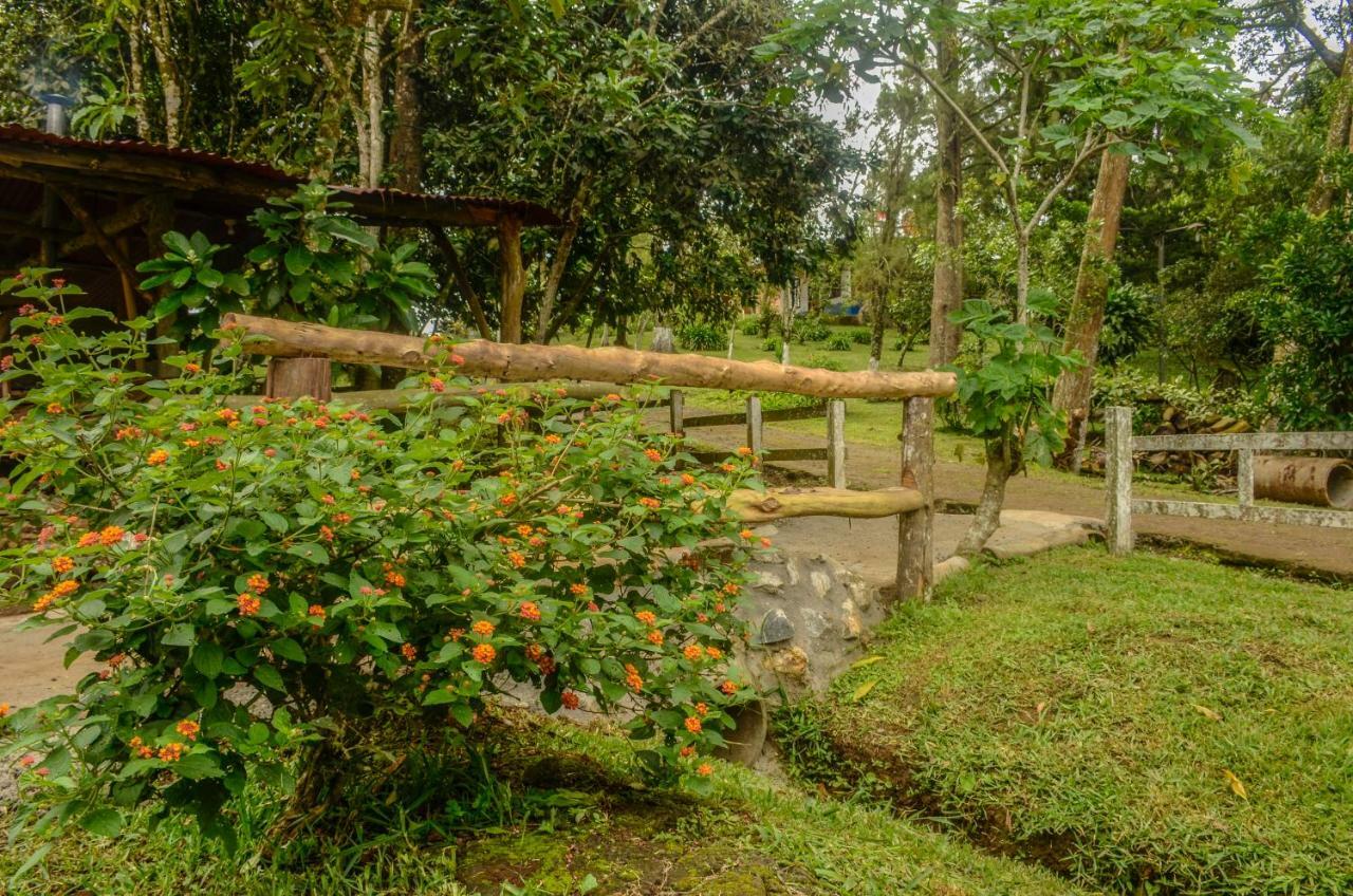 Batsu Ecolodge & Coffee Farm San Ramón Εξωτερικό φωτογραφία